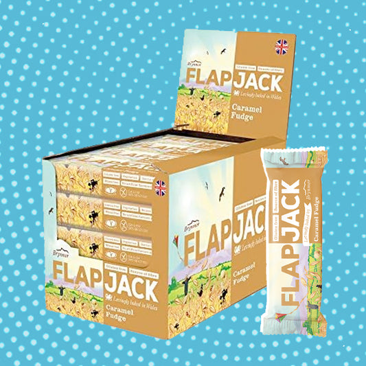 Brynmor Flapjack Caramel Fudge Flapjack 20 x 80g