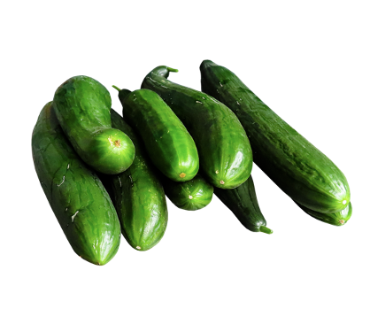 Wholesale Cucumbers