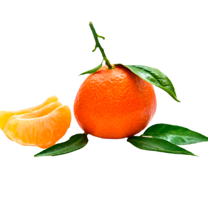 Wholesale Clementines