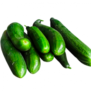 Wholesale Cucumbers