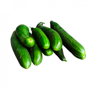 Wholesale Cucumbers