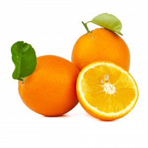 Wholesale Juicing Oranges