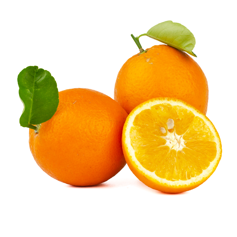 Wholesale Juicing Oranges